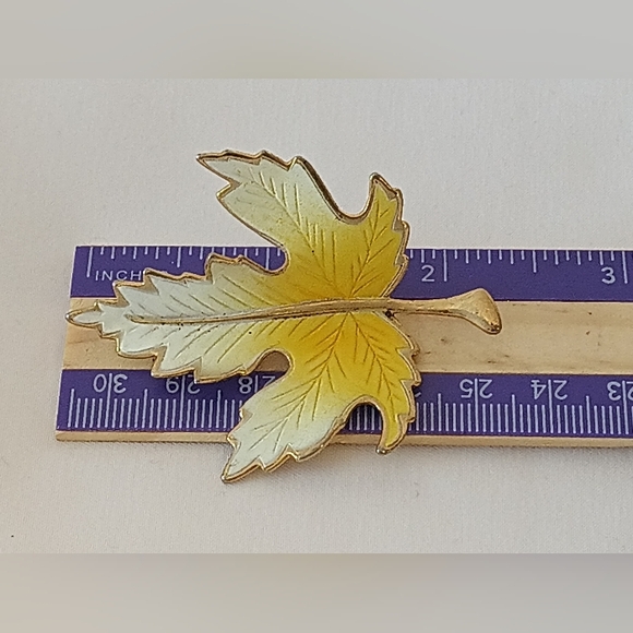 🔆𝟲/$𝟮𝟬 𝑽𝒕𝒈. 𝑾𝒉𝒊𝒕𝒆 𝑮𝒐𝒍𝒅/𝒀𝒆𝒍𝒍𝒐𝒘 𝑳𝒆𝒂𝒇 𝑩𝒓𝒐𝒐𝒄𝒉 - Picture 2 of 6